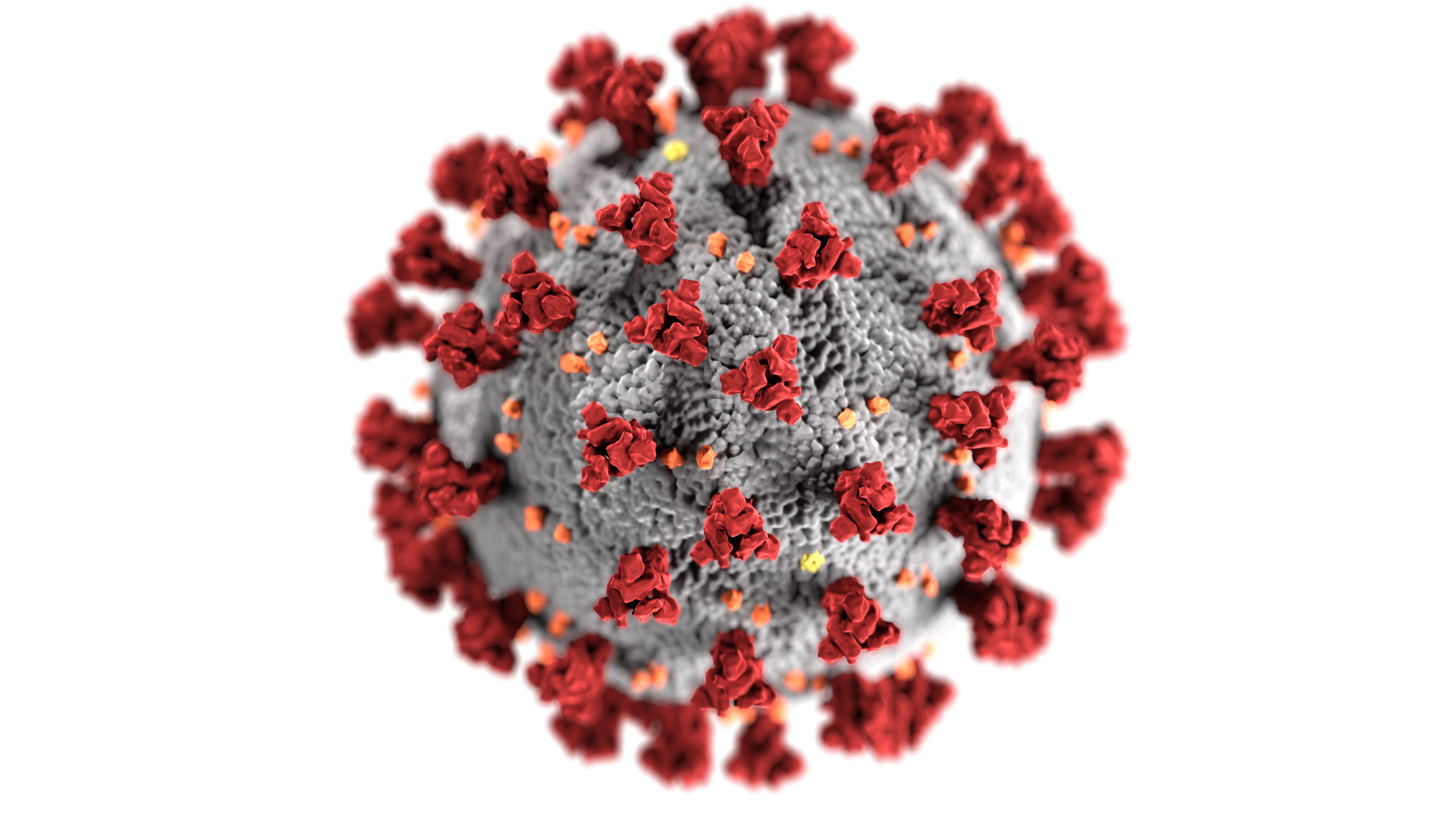 Koronavírusy tvoria veľkú rodinu vírusov. Môžu spôsobiť mierne prechladnutie, no aj závažné, v niektorých prípadoch dokonca fatálne ochorenie dýchacích ciest. 